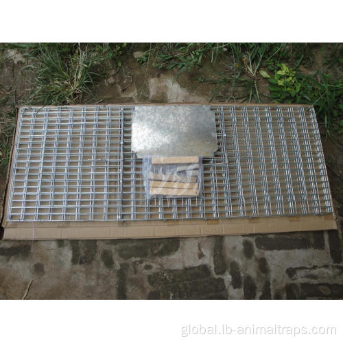 Animal Cage Traps Quality Live Animal Humane Trap Cage Catch Manufactory